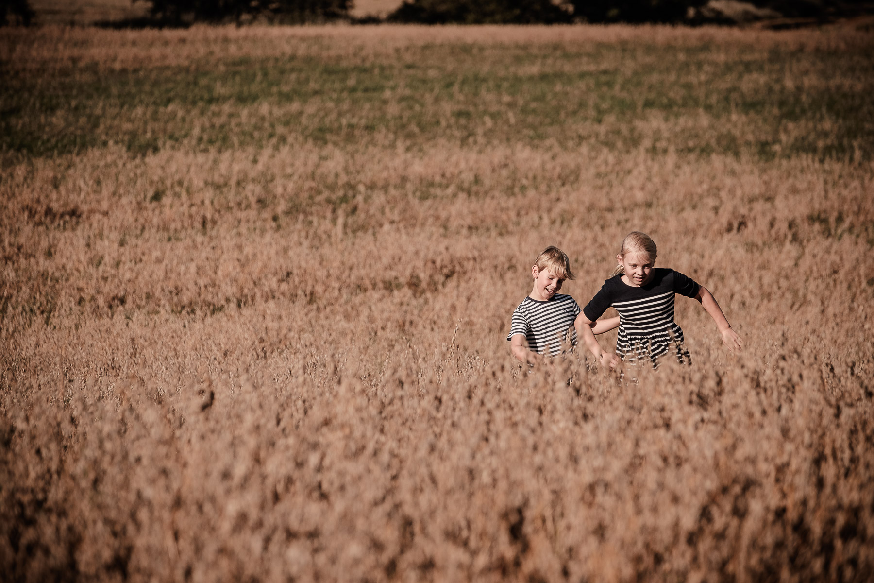 Click to enlarge image ella&emil-tanumshede-barnfotograf-ottossonphoto-1018.jpg